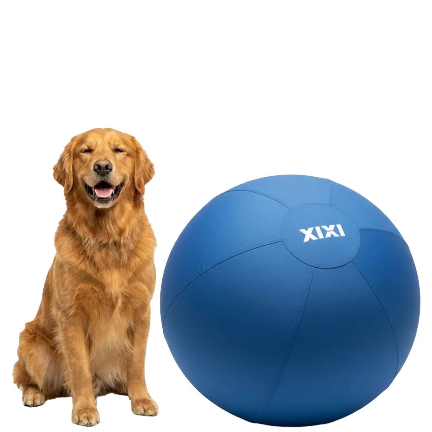 XIXI Inflatable Herding Ball - The Ultimate Interactive Outdoor Toy for Active Dogs - Perfect for High-Energy Breeds!