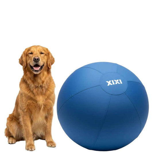 XIXI Inflatable Herding Ball - The Ultimate Interactive Outdoor Toy for Active Dogs - Perfect for High-Energy Breeds!
