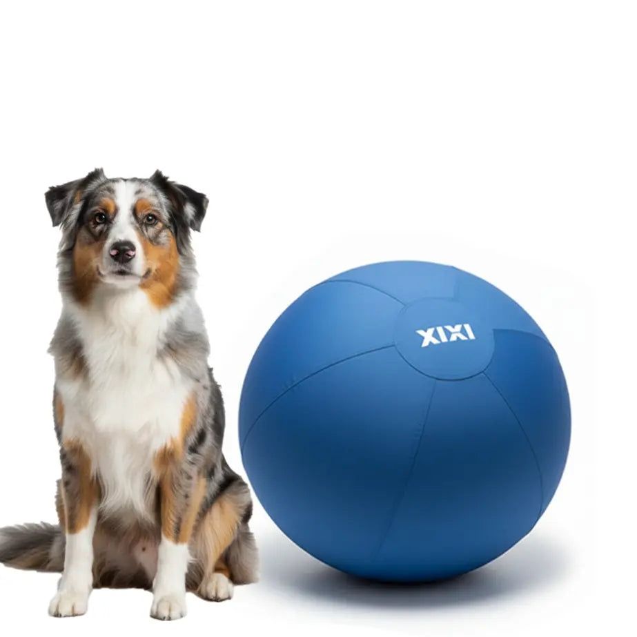 XIXI Inflatable Herding Ball - The Ultimate Interactive Outdoor Toy for Active Dogs - Perfect for High-Energy Breeds!